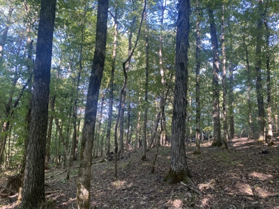 Waterfront Land For Sale In Tn On Indian Creek - image 19