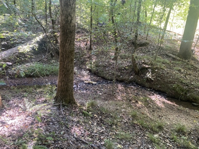 Waterfront Land For Sale In Tn On Indian Creek - image 15