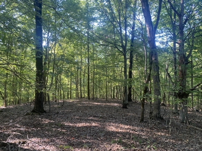 Waterfront Land For Sale In Tn On Indian Creek - image 1