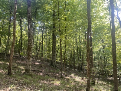 Waterfront Land For Sale In Tn On Indian Creek - image 24