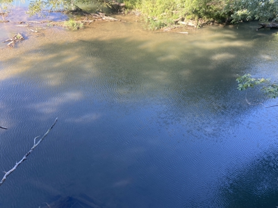 Waterfront Land For Sale In Tn On Indian Creek - image 22