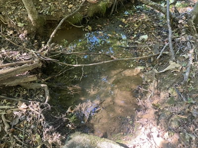 Waterfront Land For Sale In Tn On Indian Creek - image 14