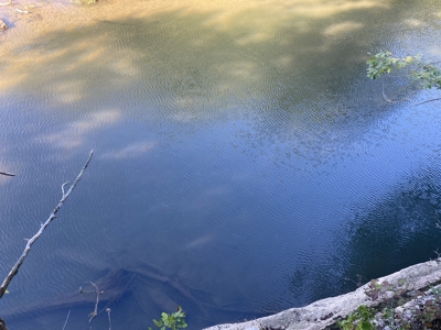 Waterfront Land For Sale In Tn On Indian Creek - image 23