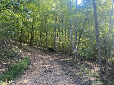 Waterfront Land For Sale In Tn On Indian Creek - image 2