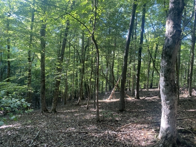 Waterfront Land For Sale In Tn On Indian Creek - image 31