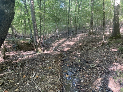 Waterfront Land For Sale In Tn On Indian Creek - image 13