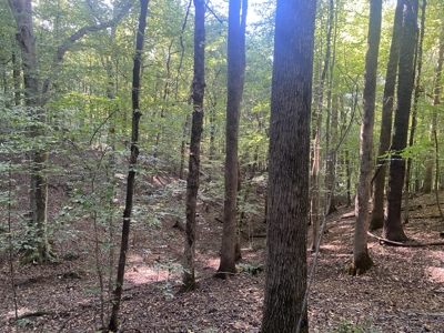 Waterfront Land For Sale In Tn On Indian Creek - image 25