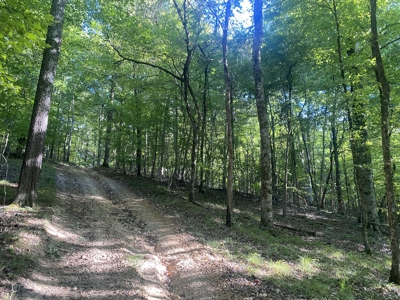 Waterfront Land For Sale In Tn On Indian Creek - image 6