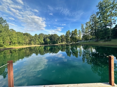Country home on 3.5 acres with a 1-acre pond. - image 9