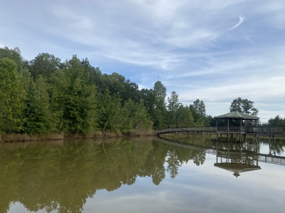 Land For Sale In Tn With 2 Large Ponds Near Pickwick Lake - image 12