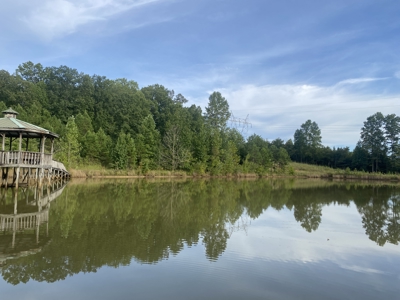 Land For Sale In Tn With 2 Large Ponds Near Pickwick Lake - image 8