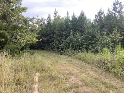 Land For Sale In Tn With 2 Large Ponds Near Pickwick Lake - image 19