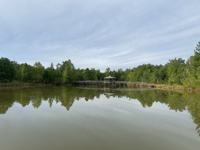 Land For Sale In Tn With 2 Large Ponds Near Pickwick Lake - image 1