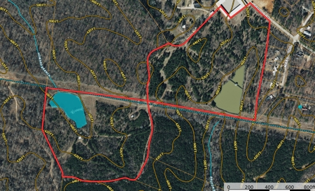 Land For Sale In Tn With 2 Large Ponds Near Pickwick Lake - image 7
