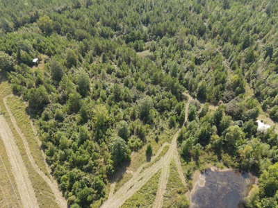 Land For Sale In Tn With 2 Large Ponds Near Pickwick Lake - image 35