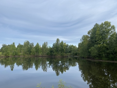 Land For Sale In Tn With 2 Large Ponds Near Pickwick Lake - image 23