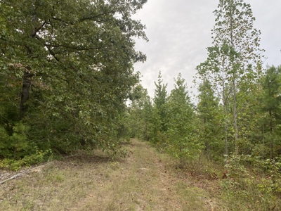 Land For Sale In Tn With 2 Large Ponds Near Pickwick Lake - image 21