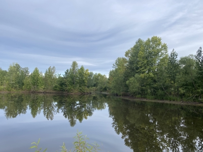 Land For Sale In Tn With 2 Large Ponds Near Pickwick Lake - image 22