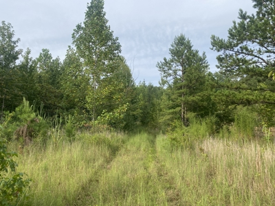 Land For Sale In Tn With 2 Large Ponds Near Pickwick Lake - image 11