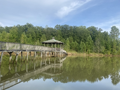 Land For Sale In Tn With 2 Large Ponds Near Pickwick Lake - image 5