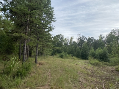 Land For Sale In Tn With 2 Large Ponds Near Pickwick Lake - image 3