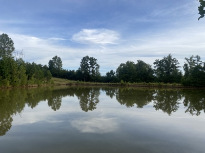 Land For Sale In Tn With 2 Large Ponds Near Pickwick Lake - image 9
