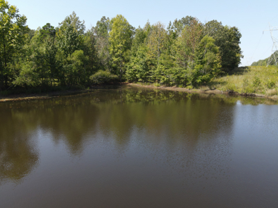 Land For Sale In Tn With 2 Large Ponds Near Pickwick Lake - image 38