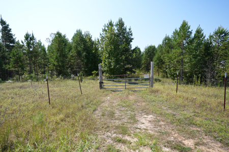 Land For Sale In Tn With 2 Large Ponds Near Pickwick Lake - image 43
