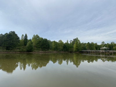 Land For Sale In Tn With 2 Large Ponds Near Pickwick Lake - image 14