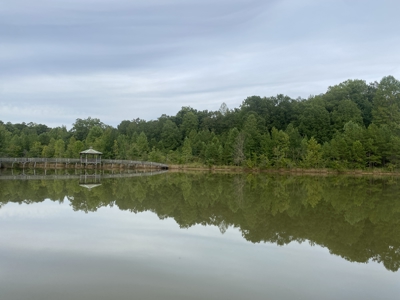 Land For Sale In Tn With 2 Large Ponds Near Pickwick Lake - image 13