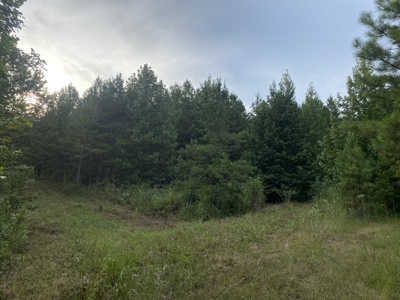 Land For Sale In Tn With 2 Large Ponds Near Pickwick Lake - image 17