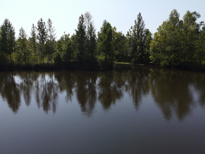 Land For Sale In Tn With 2 Large Ponds Near Pickwick Lake - image 37