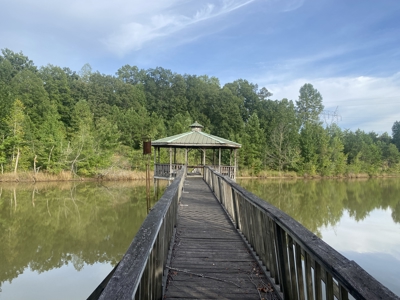 Land For Sale In Tn With 2 Large Ponds Near Pickwick Lake - image 4