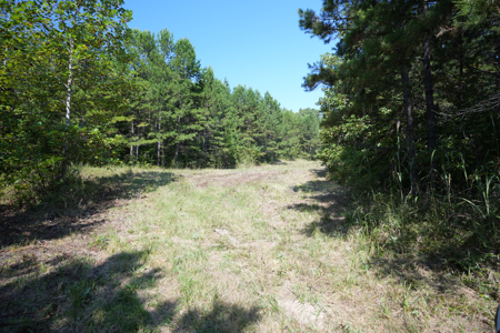 Land For Sale In Tn With 2 Large Ponds Near Pickwick Lake - image 41