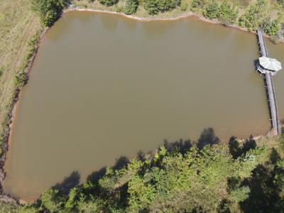 Land For Sale In Tn With 2 Large Ponds Near Pickwick Lake - image 31