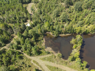 Land For Sale In Tn With 2 Large Ponds Near Pickwick Lake - image 34