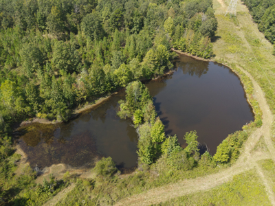 Land For Sale In Tn With 2 Large Ponds Near Pickwick Lake - image 33