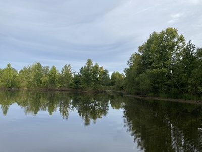 Land For Sale In Tn With 2 Large Ponds Near Pickwick Lake - image 24