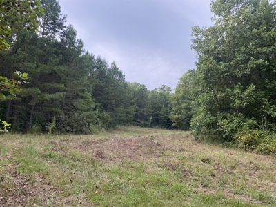 Land For Sale In Tn With 2 Large Ponds Near Pickwick Lake - image 18
