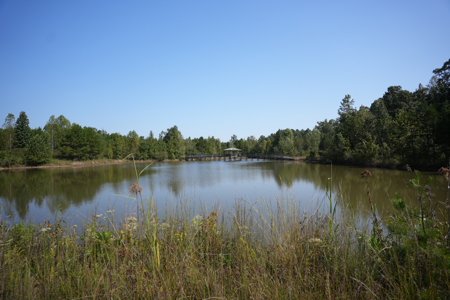 Land For Sale In Tn With 2 Large Ponds Near Pickwick Lake - image 27