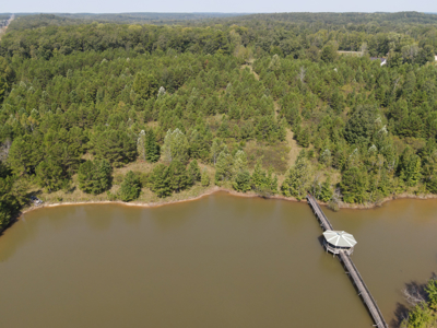 Land For Sale In Tn With 2 Large Ponds Near Pickwick Lake - image 32