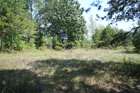Land For Sale In Tn With 2 Large Ponds Near Pickwick Lake - image 29