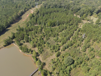 Land For Sale In Tn With 2 Large Ponds Near Pickwick Lake - image 39