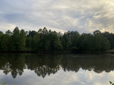 Land For Sale In Tn With 2 Large Ponds Near Pickwick Lake - image 26
