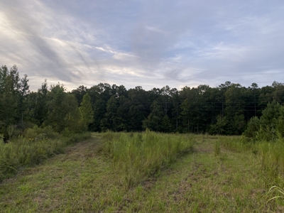 Land For Sale In Tn With 2 Large Ponds Near Pickwick Lake - image 6