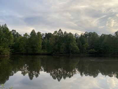 Land For Sale In Tn With 2 Large Ponds Near Pickwick Lake - image 25
