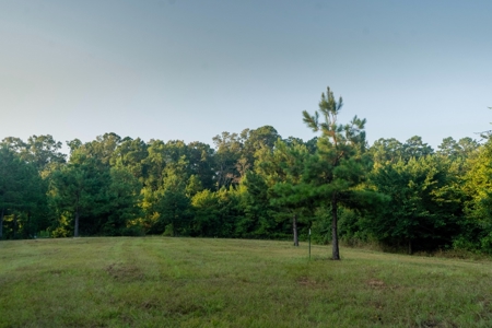 Claiborne Parish Timberland for Sale - image 4