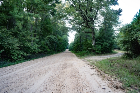 Claiborne Parish Timberland for Sale - image 16