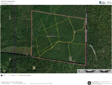 Claiborne Parish Timberland for Sale - image 30