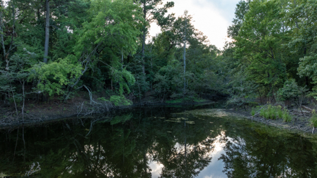 Turnkey Dekalb Texas Hunting Property for Sale Red River Frontage - image 18